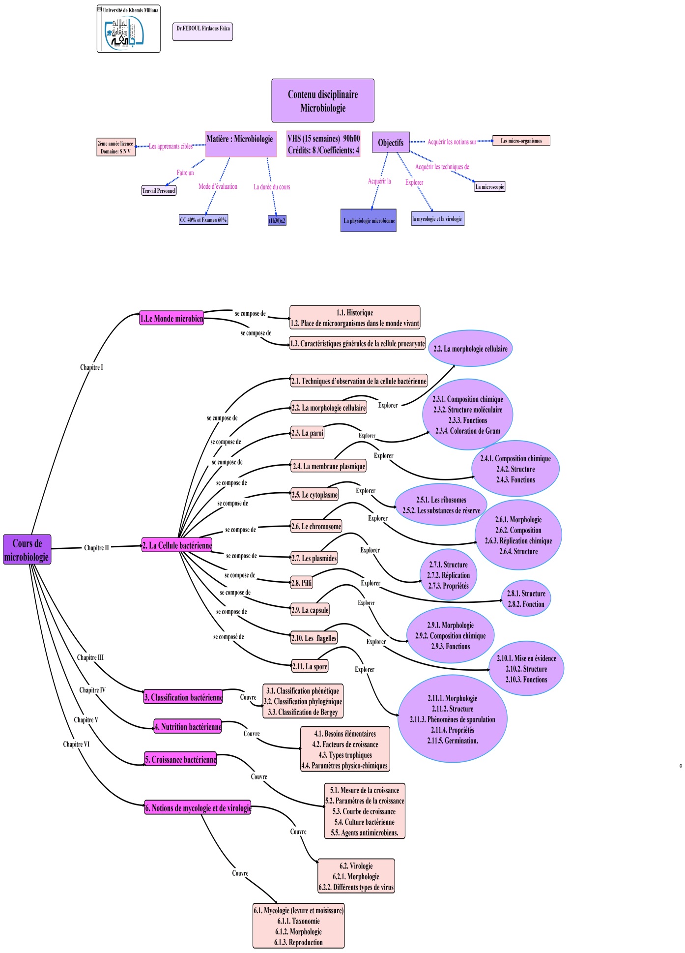 CARTE MENTALE