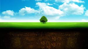 Le sol, une vie en soi - Développement durable - Arboplus