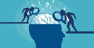 The Importance of Prior Knowledge