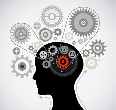 مجلة نفهم - ملخص درس التفكير الإنساني - مادة الفلسفة - الصف الأول الثانوي - نفهم