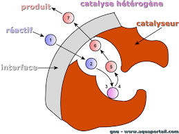 Catalyse : définition et explications