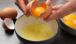 Comment conserver des blancs d'oeufs ? - Le Mag' Guy Demarle