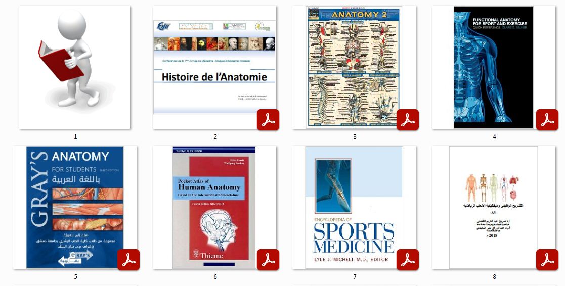 Anatomy Books for Students