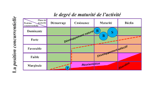Marketing stratégique la matrice ADL exercice corrigé cas pratique -  Almokawil