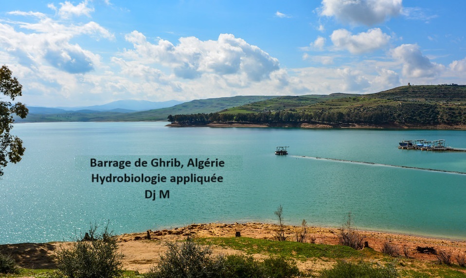 Exemple d'écosystème aquatique en Algérie