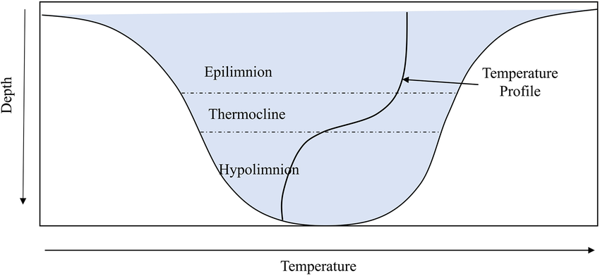 Stratification thermique LAC: Thermocline